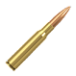 .308 WIN FMJ M1/S1