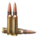 .308 WIN FMJ