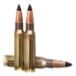 .308 WIN AP