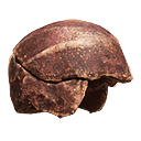 Chitin Helmet
